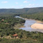 Sisema implementa ações para otimizar a regularização ambiental em Minas Gerais 