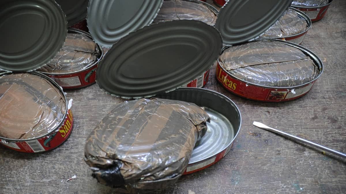 Mulher é presa com cocaína em latas de sardinha em São Paulo