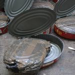 Mulher é presa com cocaína em latas de sardinha em São Paulo