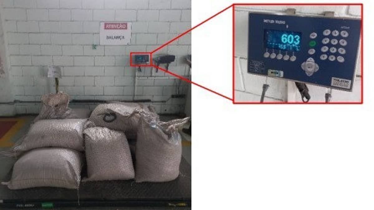 Polícia Federal encontra 603 kg de cocaína em carga de milho no porto de Santos