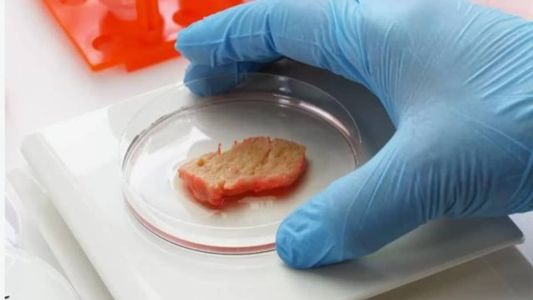 A Embrapa já tem pronta a carne de frango cultivada em laboratório