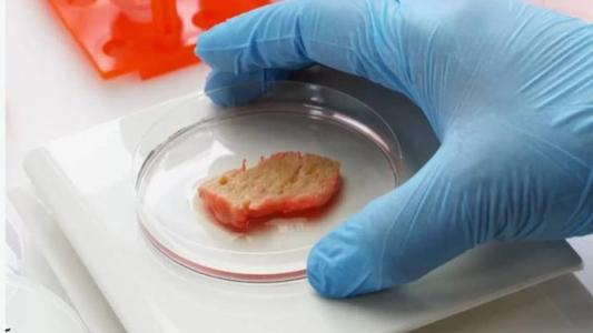 A Embrapa já tem pronta a carne de frango cultivada em laboratório