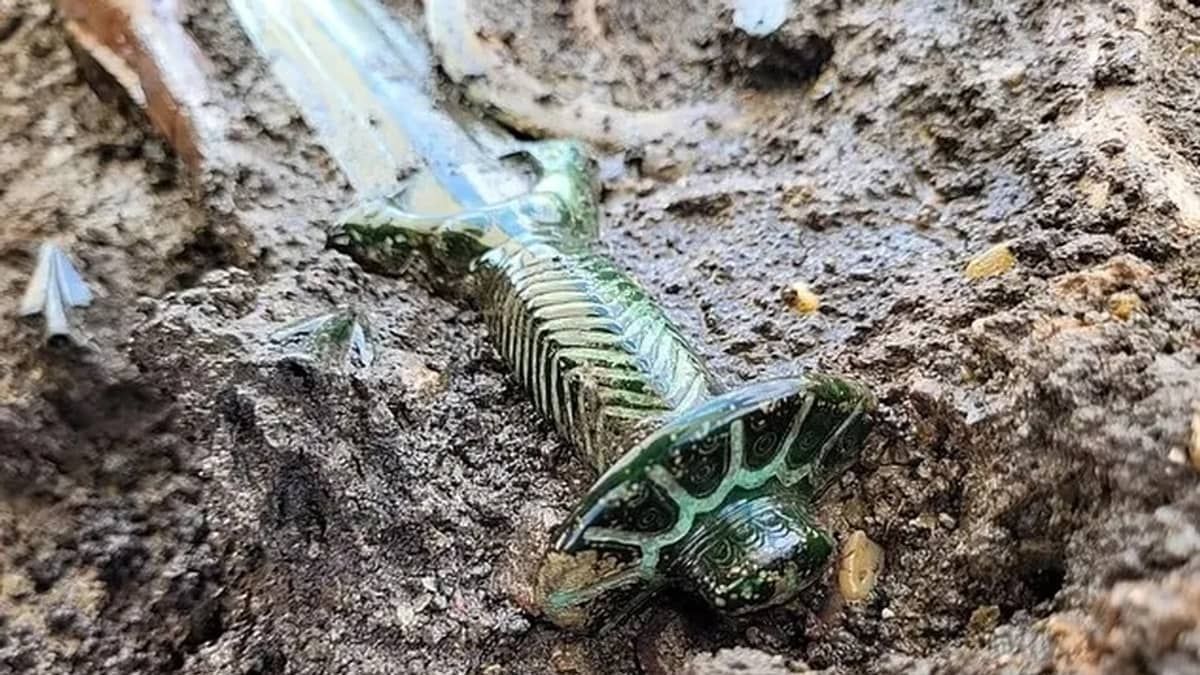 Espada de 3 mil anos é encontrada em cemitério da Alemanha; veja imagens