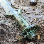 Espada de 3 mil anos é encontrada em cemitério da Alemanha; veja imagens