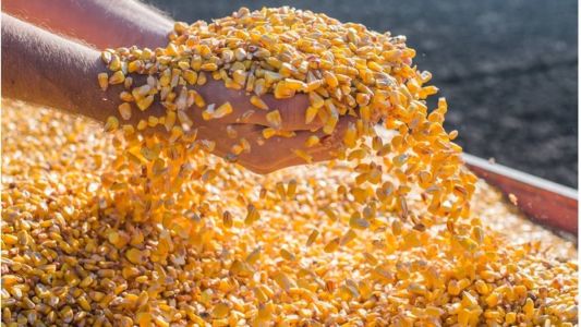 A expansão se deu, principalmente,  em função do aumento da quantidade exportada, especialmente milho e soja