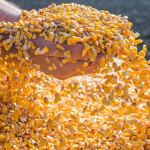 Exportações batem recorde nos quatro primeiros meses do ano com vendas de US$ 50,6 bilhões