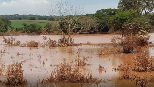 A expectativa dos pesquisadores é de que até 2030 essas áreas estejam limpas e em processo de recuperação ambiental