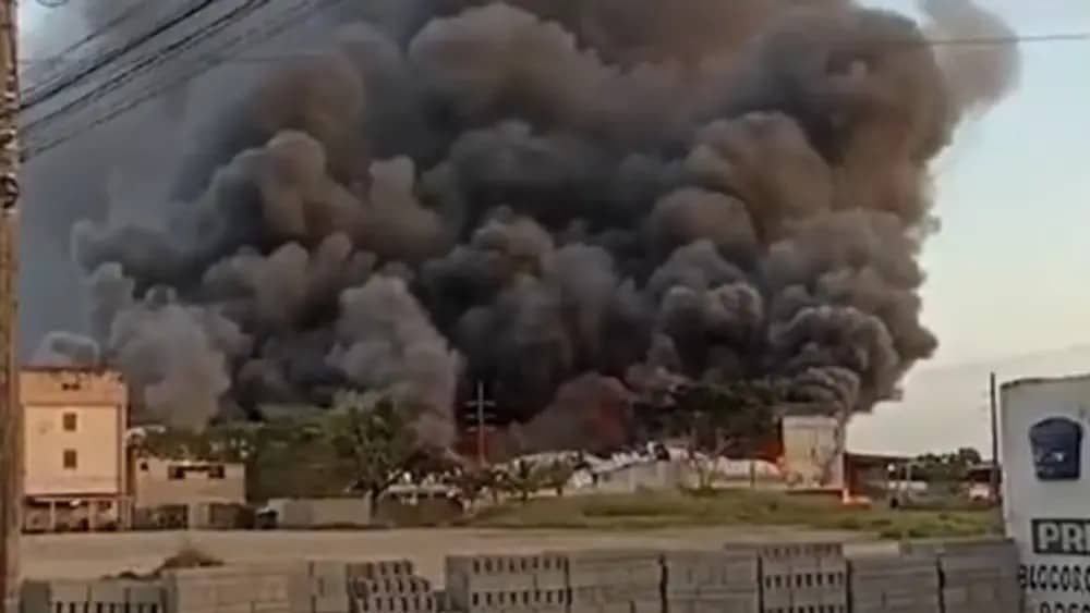 Vídeo: veja a destruição causada pelo incêndio na fábrica da Cacau Show