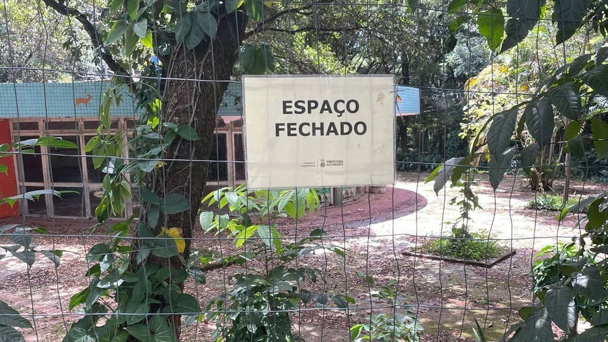 Zoológico de Belo Horizonte: visitantes relatam falta de animais e muita sujeira  