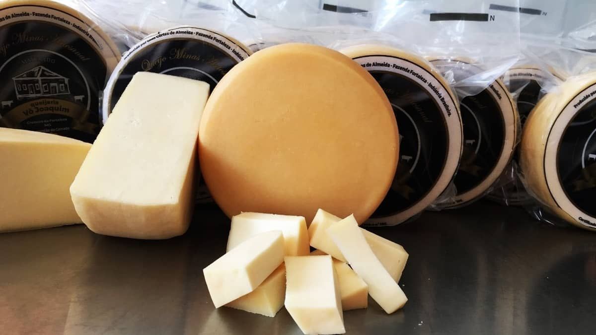 Queijo do Cerrado conquista reconhecimento de Indicação Geográfica; entenda o que isso  significa
