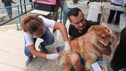 A imunização dos cães e gatos é a forma mais eficaz de se prevenir a raiva animal