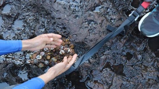 A limpeza foi realizada nesta segunda (5)