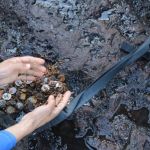 Dia Mundial do Meio Ambiente: 158 kg de moedas são recolhidas das Cataratas do Iguaçu