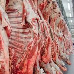 Estimativa de produção de carnes ultrapassa 29 milhões de toneladas e atinge maior nível na série histórica  