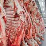 Estimativa de produção de carnes ultrapassa 29 milhões de toneladas e atinge maior nível na série histórica
