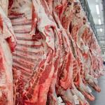 Estimativa de produção de carnes ultrapassa 29 milhões de toneladas e atinge maior nível na série histórica