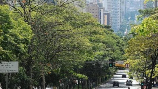 A massa de ar seco deixa os índices de umidade relativa do ar em torno de 30% até quinta-feira (13)