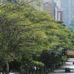 Previsão do tempo: dia deve ter tempo seco e máxima de 29ºC em Belo Horizonte