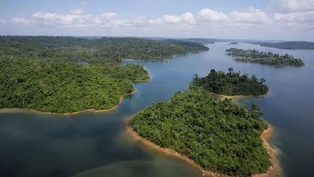 BNDES bloqueia financiamento de 58 proprietários responsáveis pelo desmatamento da Amazônia