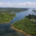 BNDES bloqueia financiamento de 58 proprietários responsáveis pelo desmatamento da Amazônia