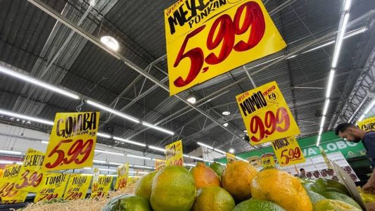 A mexerica é originária da planta "Citrus Deliciosa" e, segundo alguns estudos que estudaram seus DNAs, a mãe das laranjas!