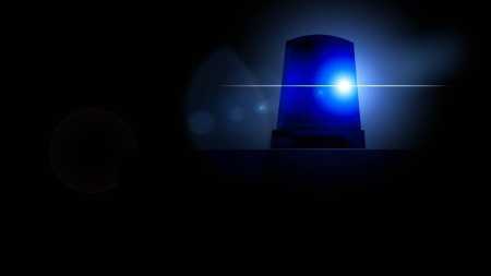 A mulher acionou a polícia desconfiada de uma parede que foi construida em sua cozinha e do tanto de moscas no local