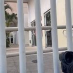 Delegada cercada em BH: ALMG pede investigação dos fatos