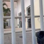 Delegada cercada em BH: ALMG pede investigação dos fatos