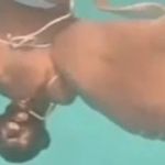 Tubarão morde mulher que nadava nas Maldivas; veja vídeo