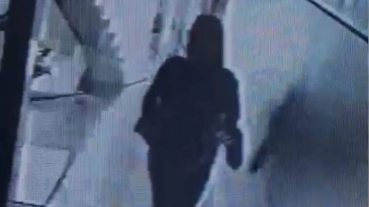 A mulher foi flagrada por câmeras de segurança entrando no condomínio antes de furtas as joias