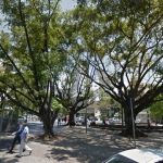 Prefeitura de BH vai criar monumento para homenagear profissionais de saúde e vítimas da Covid-19