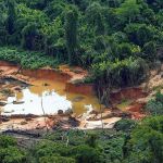 Mulher é encontrada morta em Terra Indígena Yanomami