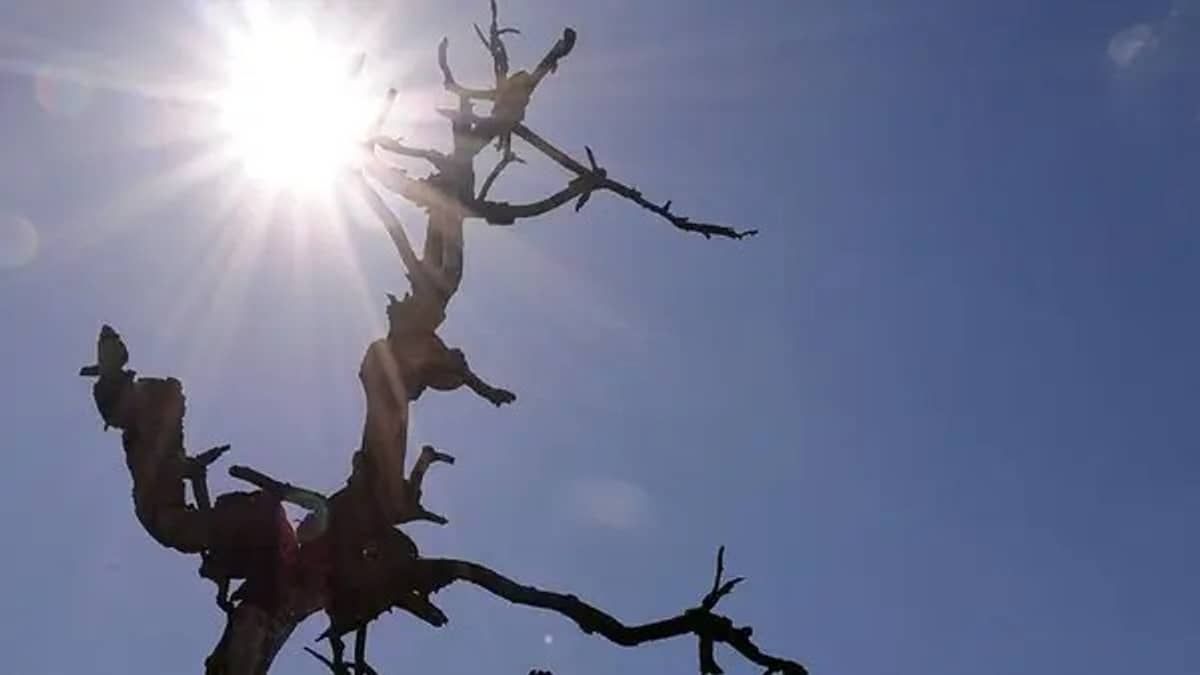 Recorde de calor no inverno: entenda motivo das altas temperaturas em BH