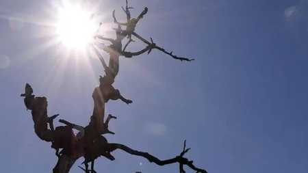 A Organização Meteorológica Mundial (OMM) alertou que o mundo sofreria com o calor em 2023