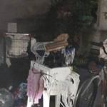 Vazamento de gás de cozinha provoca incendio em casa no interior de Minas