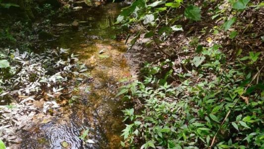 A PBH reforça que o mapeamento de nascentes, brejos, cursos d'água e represas é fundamental para a política de gestão de recursos hídricos