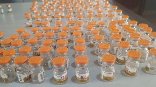 A PMRv estima que cada frasco poderia ser vendido por até R$ 1,2 mil no mercado negro