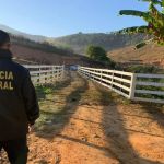 PF mira em associação criminosa que faz migração ilegal de brasileiros para os Estados Unidos 