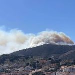 Incêndio destrói quase mil hectares de vegetação na França
