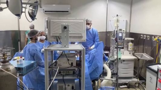 A previsão é de que o transplante comece às 10h