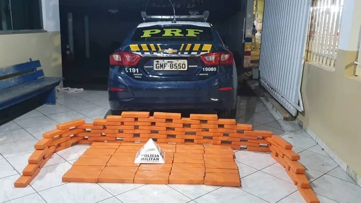 Motorista é preso transportando 113 kg de maconha na BR-365 em Minas