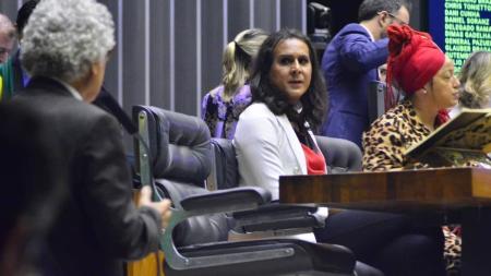A proposta ainda precisa ser analisada por uma série de comissões temáticas antes de ir a plenário na Câmara e, depois passar pelo mesmo rito no Senado.