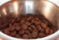 Brasil é um dos primeiros no ranking de produção ração animal; entenda