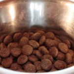 Brasil é um dos primeiros no ranking de produção ração animal; entenda