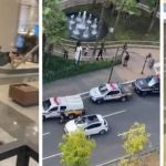 Mulher é presa em São Paulo suspeita de envolvimento em assalto a joalheria de luxo no BH Shopping