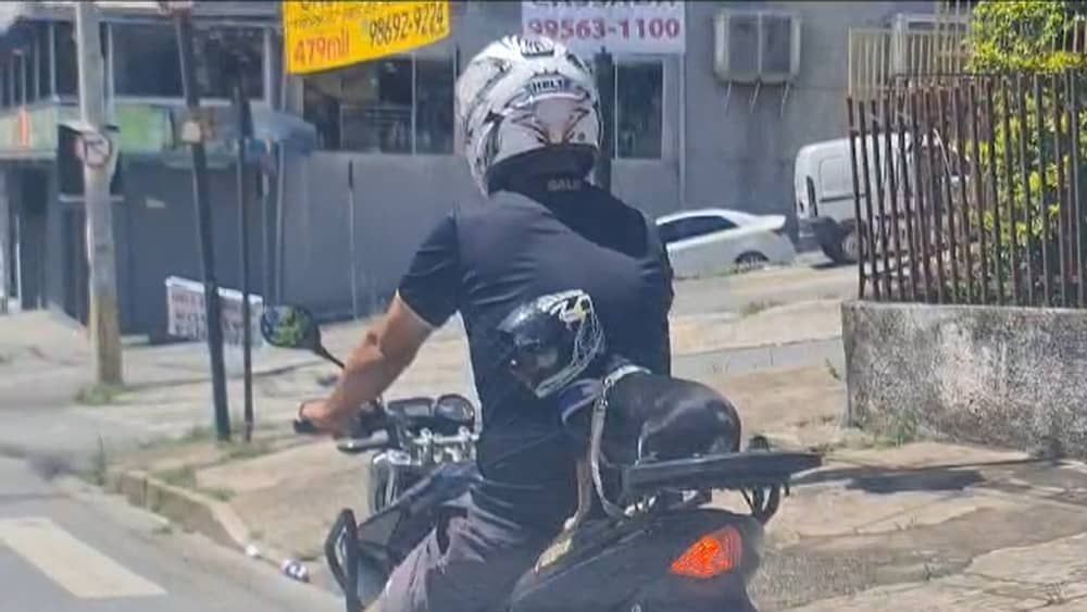 Vídeo: motoqueiro passeia com cachorro na garupa pelas ruas de BH