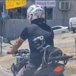 Vídeo: motoqueiro passeia com cachorro na garupa pelas ruas de BH