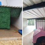 Tutora instala ar-condicionado em canil para refrescar cachorros; veja vídeos