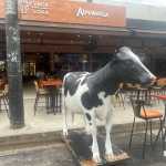 Bar de BH que teve ‘vaca’ arrastada pela chuva contabiliza prejuízo: ‘Sobrou caos’