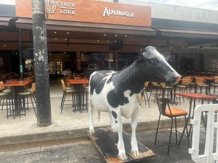 A vaca foi resgatada e recolocada em seu devido lugar